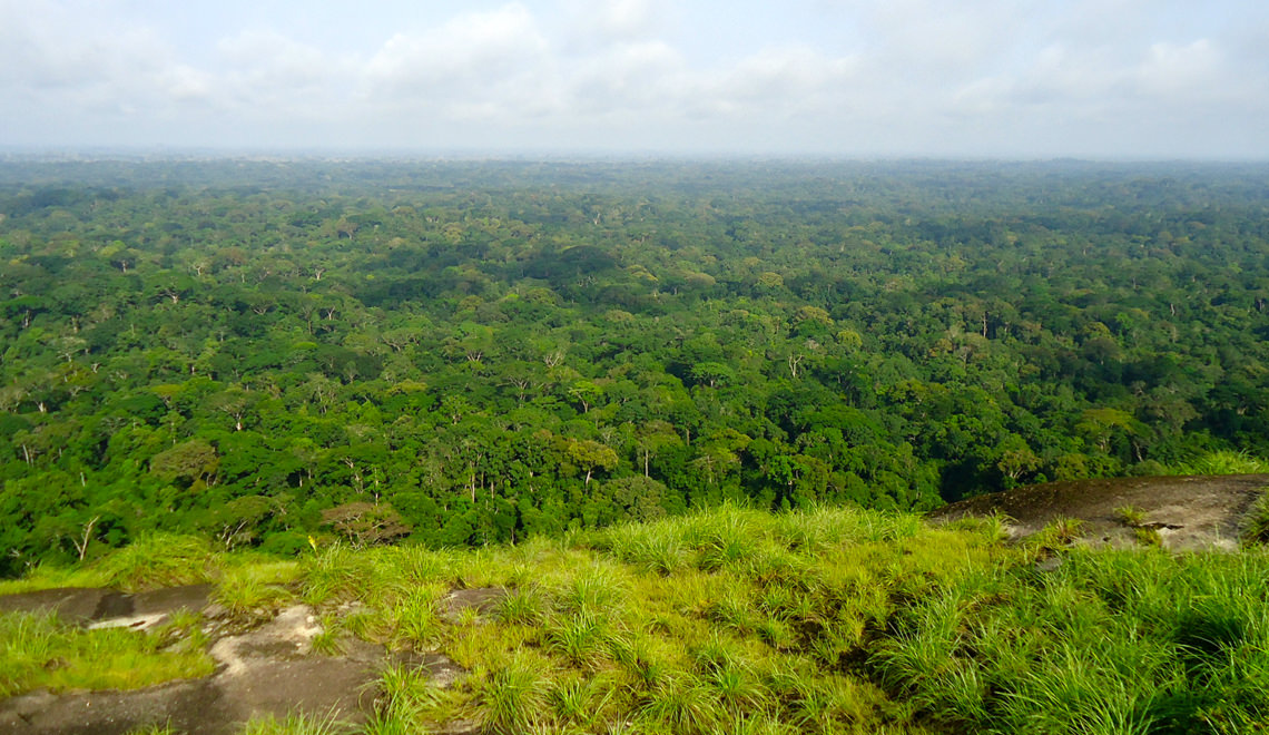  corridor écologique de taï 