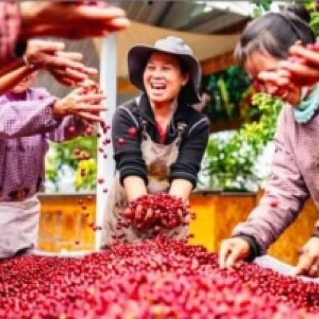 Réduction de la pauvreté : l’expérience chinoise présentée comme un modèle d’inspiration mondiale