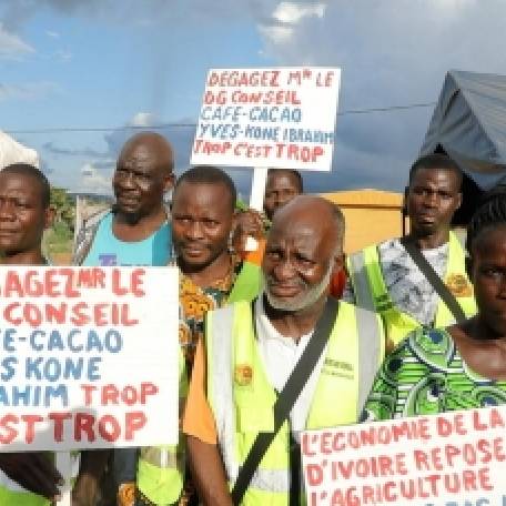 Crise dans la filière cacao : le SYNAP-CI maintient sa grève et réclame le départ du DG du Conseil Café-Cacao